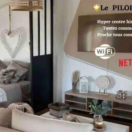 Le Pilori - Centre Historique, En Face Du Musee Du Pilori, A 2Mn A Pied De L'Hyper Centre Et Proche Toutes Commodites, Wifi-Netflix Niort Bagian luar foto